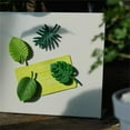 thumbnail image 3 of hejhncii Decorative Refrigerator Magnets Fridges Magnets 4Pcs Mini Plant Leaf Whiteboard Magnets Locker Accessories for Home, 3 of 11