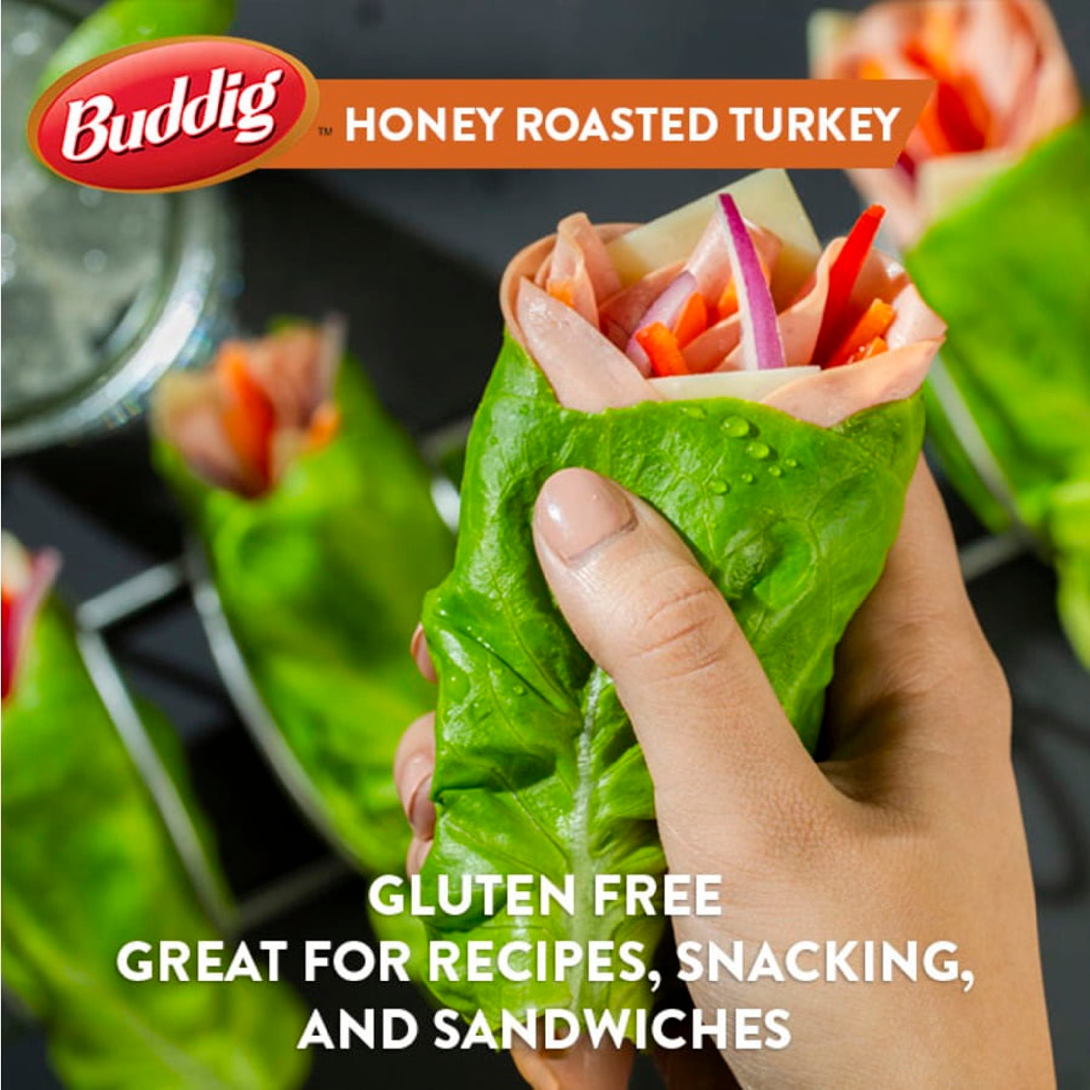 Carl Buddig Honey Roasted Turkey Lunchmeat, 2 oz Plastic Pouch  (56g), Refrigerated