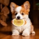 thumbnail image 5 of Juguetes para perros para masticar, juguetes para la dentición, juguetes blandos de gel para la dentición, juguetes para dientes de perro, juguetes para cepillos de dientes de perro, juguetes para, 5 of 6