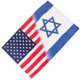 thumbnail image 3 of Outdoor Garden Decor Flags Outdoor Friendship Flags Celebration Friendship Flag Polyester Home Decoration 1Set, 3 of 5