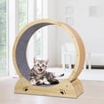 thumbnail image 1 of Rueda de caminadora para gatos, rueda para correr para gatos, ejercitador de entrenamiento con pista alfombrada, rascador silencioso, rodillo silencio Fernando Rueda para correr gato, 1 of 8