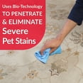 thumbnail image 6 of Simple Green 32 oz. Advanced Dog Stain and Odor Remover, 6 of 8