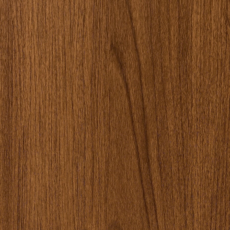 Acorn