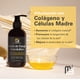 thumbnail image 5 of Aceite de Masaje Anticelulítico M3 Naturals, Reafirmante de la Piel con Colágeno y Células Madre, Aceite Corporal Eliminador de Celulitis, 240ml, 5 of 10