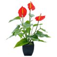 thumbnail image 1 of Coofit Artificial Potted Flower Simulated Calla Lily Potted Plant for Home Decor, 1 of 7