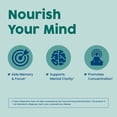 thumbnail image 4 of NativePath Brain Health Capsules, Bacopa, Alpha GPC, Ginkgo, Memory & Focus Support, 60 Count, 4 of 8