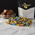 thumbnail image 4 of SweetGourmet Cremino Assorted Toffees, Arcor Soft Chewy Foil Wrapped Candy, 1-Pound Bag, Chocolate, Mint, Vanilla, Butter-rum, and Coffee, 4 of 10