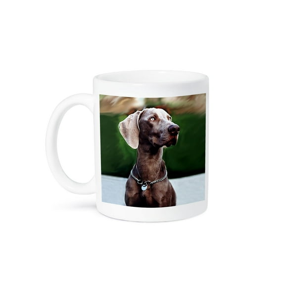 3dRose, Weimaraner, 11oz Mug