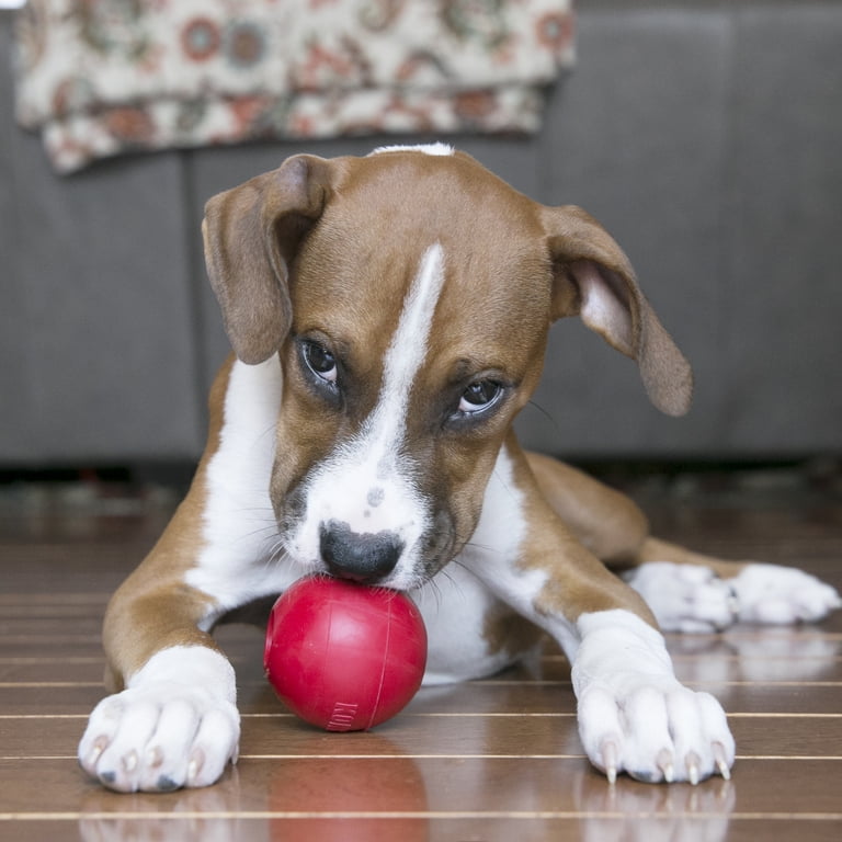 KONG Ball Puncture Resistant Dog Toy, Medium/Large photo 6
