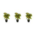 thumbnail image 1 of Inteprter ABS tortuga en maceta plantas falsas bajo mantenimiento hojas artificiales para el hogar Oficina sala de estar JH5474 Type1 NO1, 1 of 6
