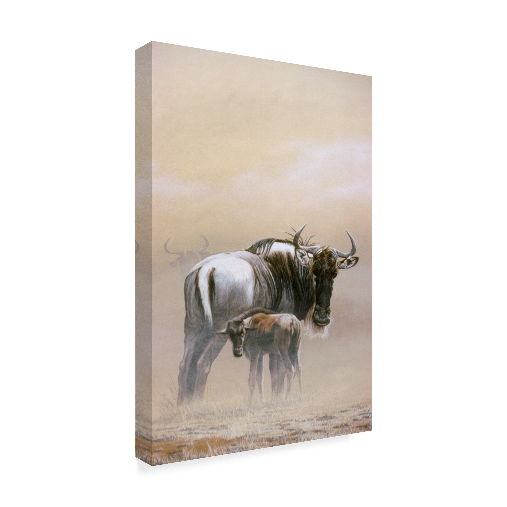 Trademark Fine Art 'Wildebeest' Canvas Art by Ron Parker