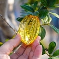 thumbnail image 2 of Figuras coleccionables de frutas de estrella de vidrio soplado hechas a mano, adornos de carambola de cristal para decoración de mesa de oficina en casa para mamá, amarillo, 2 of 5