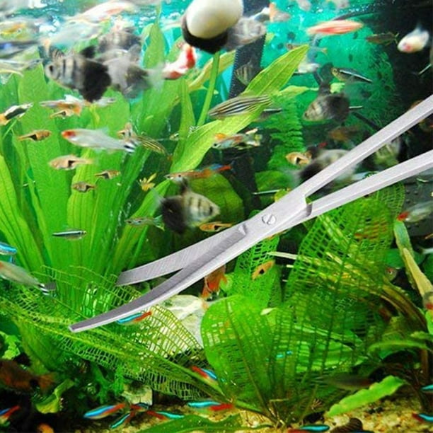 Aquarium Tools Kit, 5 in 1 Stainless Steel Long Fish Tank Scraper