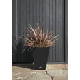 thumbnail image 6 of Veradek Pure Series Nobleton 22" Plastic Planter Tray 2-Pack Black, 6 of 9