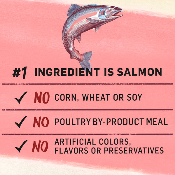 purina beyond indoor