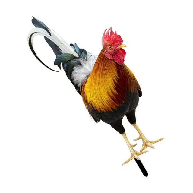 kurtrusly Animal Statue Chicken Sculpture for Pathway Courtyard Lawn Yard Style A 1Set