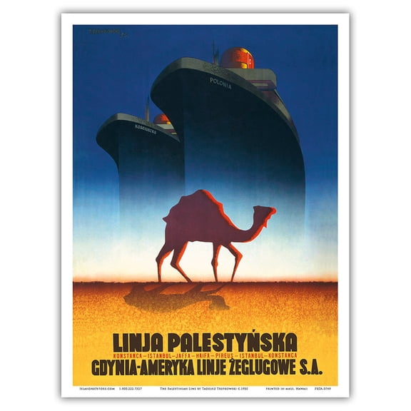 The Palestinian Line - Gdynia-America Shipping Lines - Vintage Ocean Liner Travel Poster by Tadeusz Trepkowski c.1935 - Master Art Print (Unframed) 9in x 12in