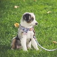 thumbnail image 3 of Collar y correa para perro con hebilla dorada fuerte ajustable con hermosa pajarita y ribete floral MFZFUKR CPB-US-YY32-1, 3 of 5