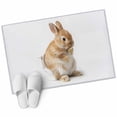 thumbnail image 2 of Funny Bunny 2'x3' Washable Rug, Cute Art Fun Lovely Animals on Toilets Non-Slip Soft Doormat Area Rugs for Entrance Bathroom Bedsides, StainResistant Carpet for Kitchen Bedroom, Entryway Floor Mat, 2 of 9