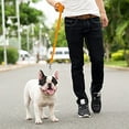 thumbnail image 6 of Downtown Pet Supply Long Lead Leash for Dog Training, Orange, 200' Dog Leash, 6 of 6