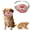 Color#5, variant on Realistic Latex Dog Face Mask for Small and Medium Pets, Funny Costume Muzzle Accessory