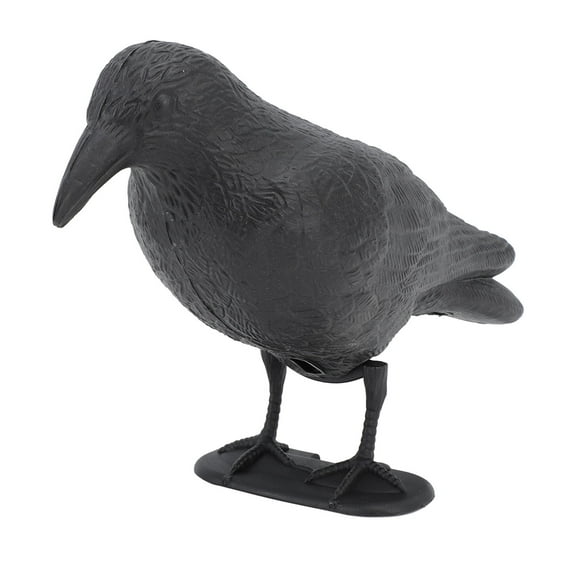 Practice Bow Decoy, Crow Decoy Decorative PE for