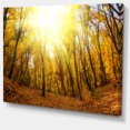 thumbnail image 2 of Forêt d'Automne Jaune au Soleil - Impression sur Toile, 2 of 4