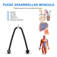 thumbnail image 3 of Cuerda Entrenamiento Gym Tríceps Para Desarrollo Muscular Malubero  Malu1872, 3 of 3