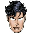 thumbnail image 4 of Justice League Masque de Personnages (Lot de 8), 4 of 5