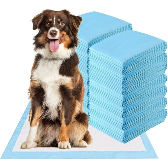 XXXXL Puppy Pee Pads for Dogs 31"x56" 40 Count, Extra Large Dog Pee Pads, Leak-Proof & Super Absorbent Dog Pee Pads, Thicken Disposable Potty Pads Puppy Training Pads for Cats Rabbits