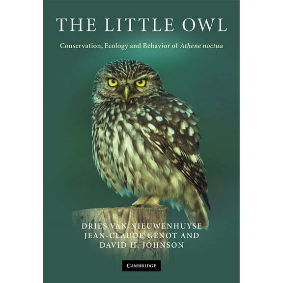 The Little Owl, (Paperback)