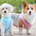 thumbnail image 5 of 2 Pcs Dog Shirts Quick Dry Soft Stretchy Dog T-shirts With Label, 5 of 5