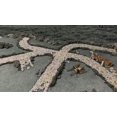 thumbnail image 3 of Paisajes de fantasía modulares, sistemas de batalla, ríos y carreteras, 3 of 3
