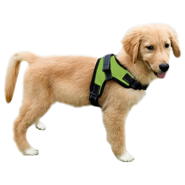Arnés para perros Copatchy sin tirones, reflectante, ajustable, verde, XS