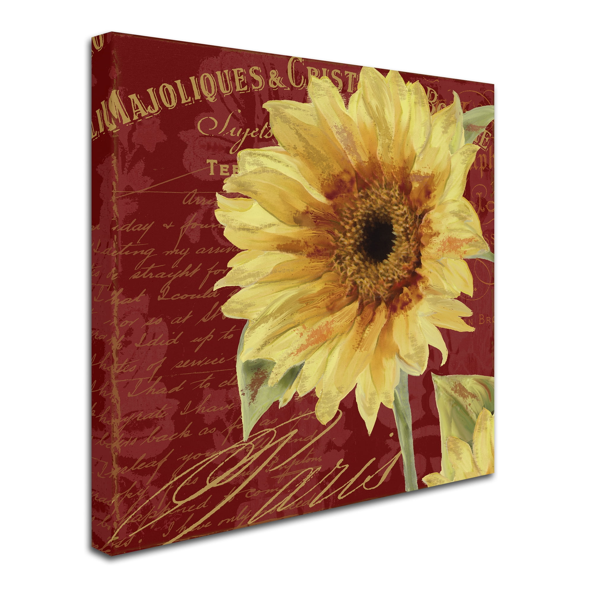 Trademark Fine Art 'Ete III' Canvas Art by Color Bakery