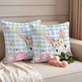 thumbnail image 2 of Spring Easter Pillow Covers 2 Pack Rabbit Egg Colorful Flower Butterfly Blue Plaid Pillowcase Waterproof Outdoor Throw Pillow Cover for Patio Garden Square Cushion 20”x20”, 2 of 9