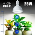 thumbnail image 4 of LED Grow Light Bulb with Timing and Hanging System, 25W Full Spectrum, 4H/9H/14H Timer, Hanging Grow Lights for Indoor Plants with 16.4FT Power Cord, Plug in Pendant Light for Plants, 4 of 6