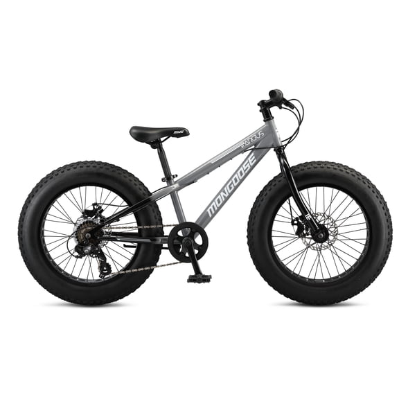 Mongoose Argus ST Fat Mountain Bike, 20-Inch Wheels, 7 Speed, Grey/ Black