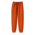 thumbnail image 3 of Pantalones cálidos gruesos de otoño e invierno para mujer, pantalón sudadera deportiva holgado para exteriores, pantalones holgados con cordón recto para mujer, 3 of 5