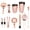 Rose Gold, variant on Xirurus 11-Piece Stainless Steel Cocktail Shaker Set, Professional Bartender Kit with Sleek Ruthenium Gunmetal Black Shaker and Strainer for Home Parties, 25.4 oz / 750 ml