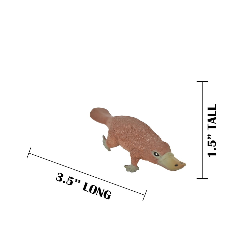platypus です Amazon.com: K&M Platypus 4
