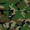 Zanheadgear B008 Premium Bandanna, 100% Cotton, Woodland Camo, One Size