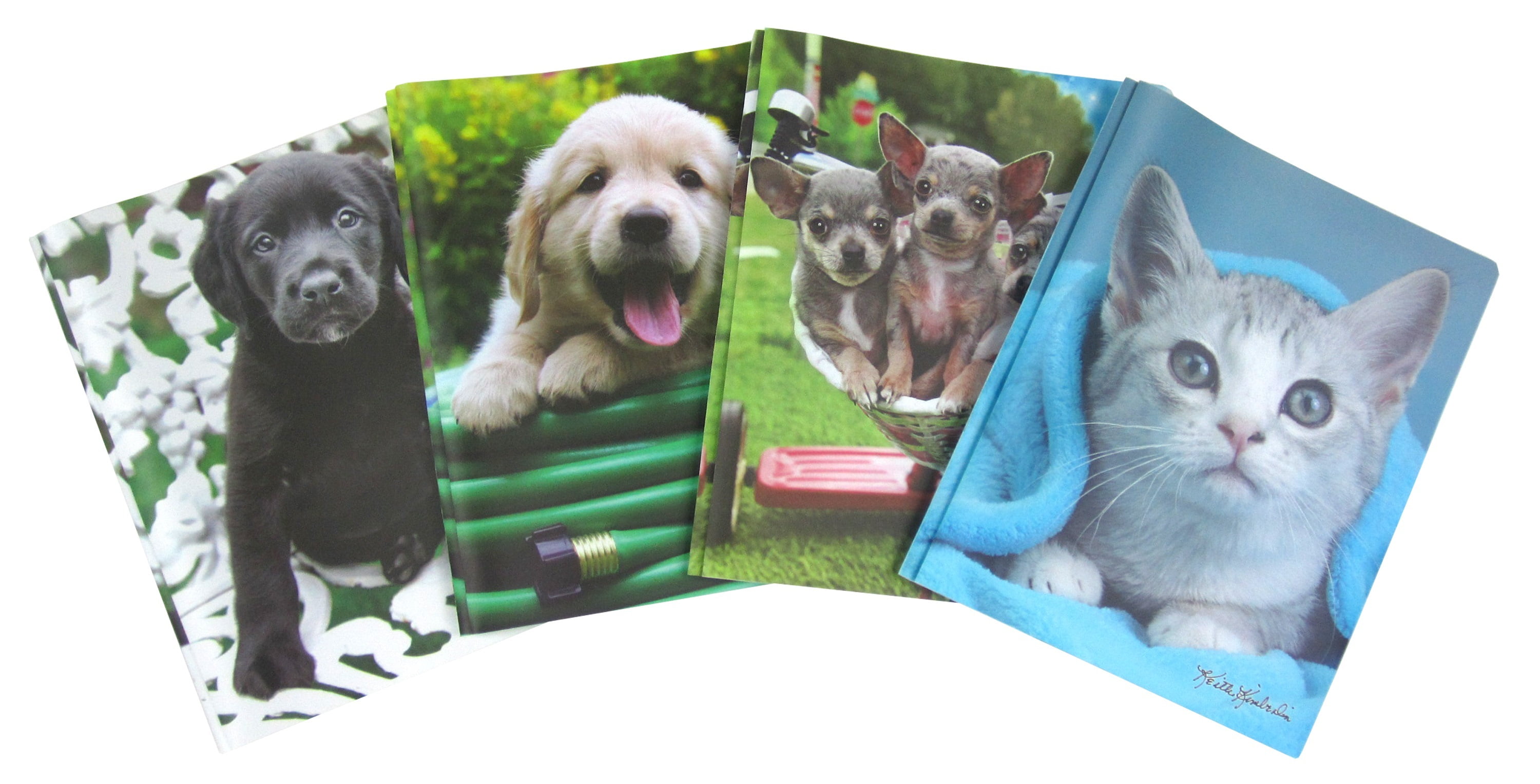 Cat Dog 2pkt Prong Pp Folder