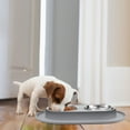 thumbnail image 5 of Double Dog Bowl Feeding Station, Skid Proof Silicone Base Mat with Spill Proof Raised Lip & Two 12oz Stainless Steel Bowls for Food and Water, Ideal for Small to Medium Size Dogs Cats Pet, Gray, 5 of 7