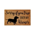 thumbnail image 2 of Sorry If You Trip Over My Wiener Door Mat,Funny Dachshund Weiner Dog Welcome Front Porch Decor Doormat Indoor Outdoor Entrance Way Area Rug Non-Slip Floor Mat for Kitchen Bathroom,Home Decor, 2 of 5