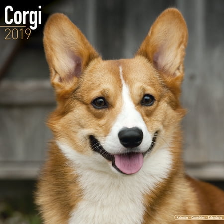 Corgi Calendar 2019 - Corgi Dog Breed Calendar - Corgi Premium Wall