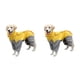 thumbnail image 1 of Chubasquero impermeable para perros Greeniant Amarillo veinticuatro 2Conjunto, 1 of 6