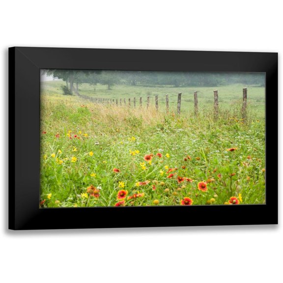Connolly, Karin 14x11 Black Modern Framed Museum Art Print Titled - Flowers and Fence