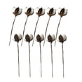 thumbnail image 5 of LOLIPPYY 10Pcs Simulation Cotton Flower Stems White Bendable for Home Decoration and Events, 5 of 8