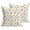Beige, variant on Throw Pillow Covers 18x18 Inch Set of 2 Dandelion Decorative Pillows Cushion Case Soft Square Pillowcases Colorful Spring Flowers Green Throw Pillows for Couch Sofa Bed Chair Home Decor